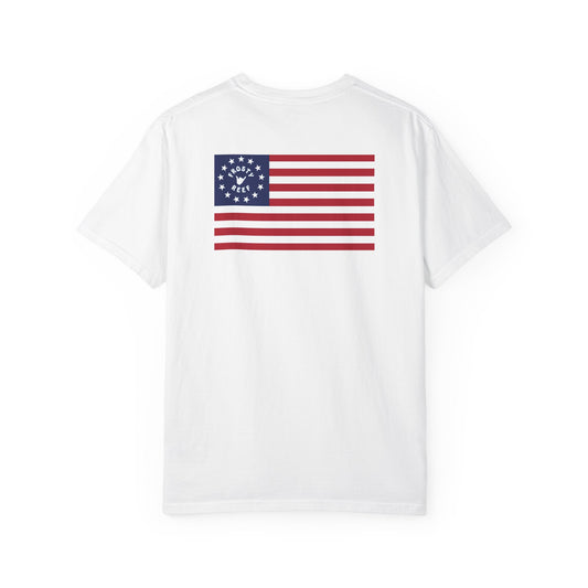 Frosty America Tee